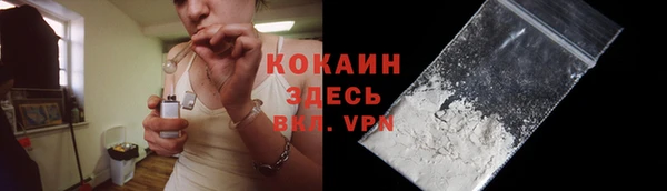 крисы Баксан