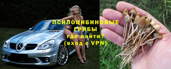 стафф Балабаново