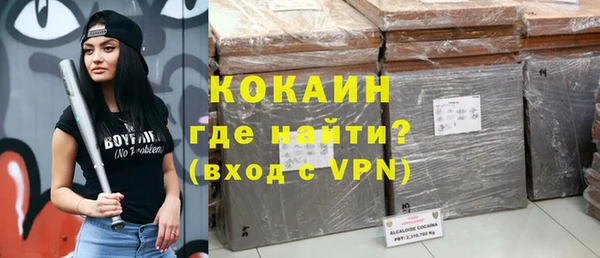 крисы Баксан